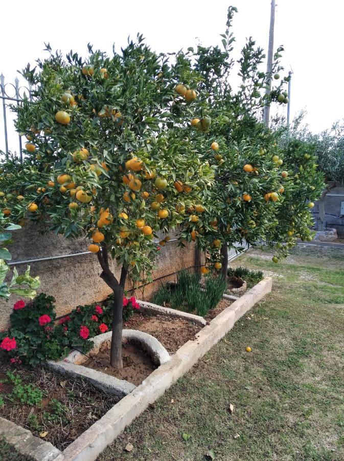 Garden House-Free Transfer From Airport Villa Artemida  Bagian luar foto