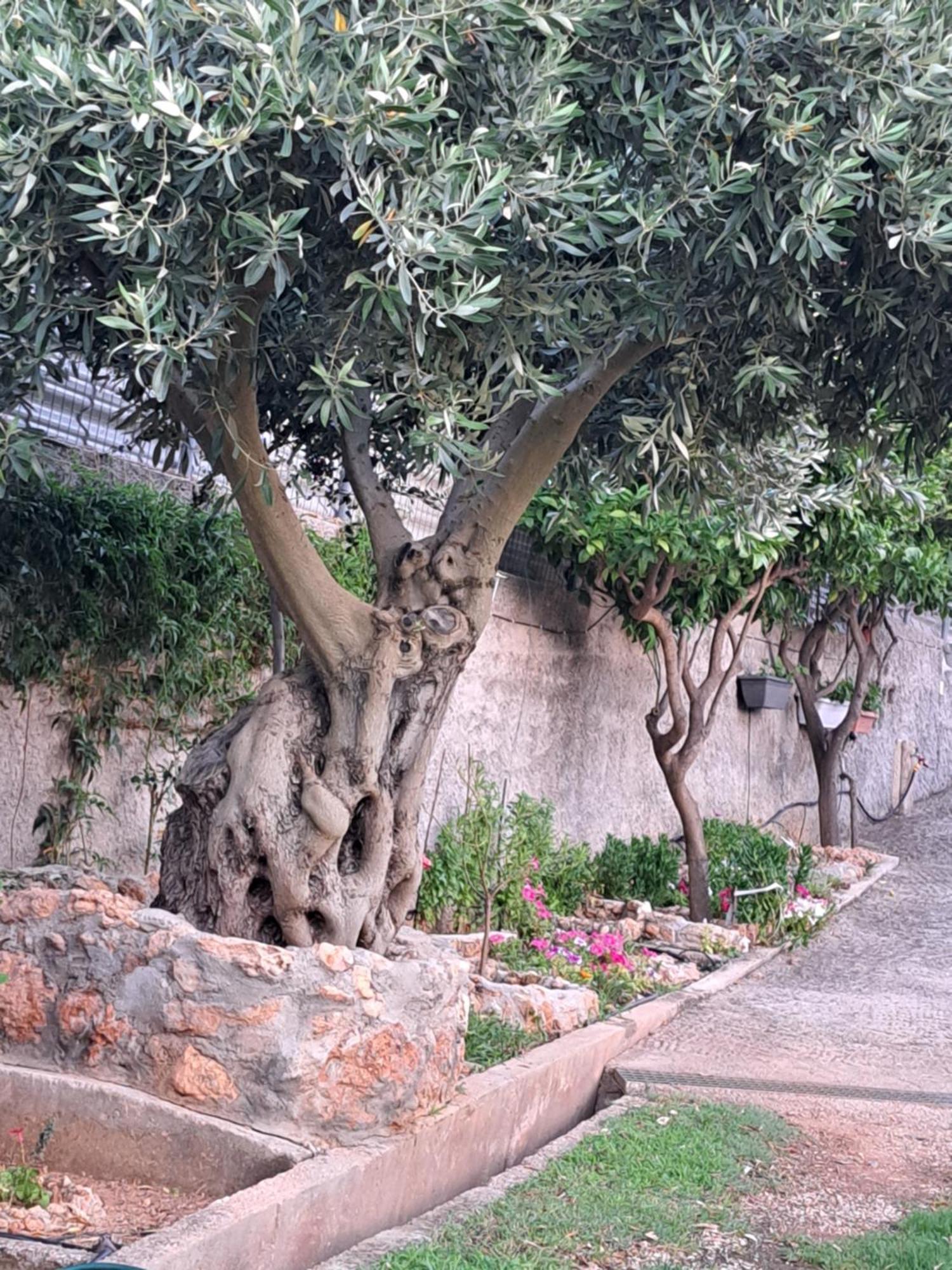 Garden House-Free Transfer From Airport Villa Artemida  Bagian luar foto