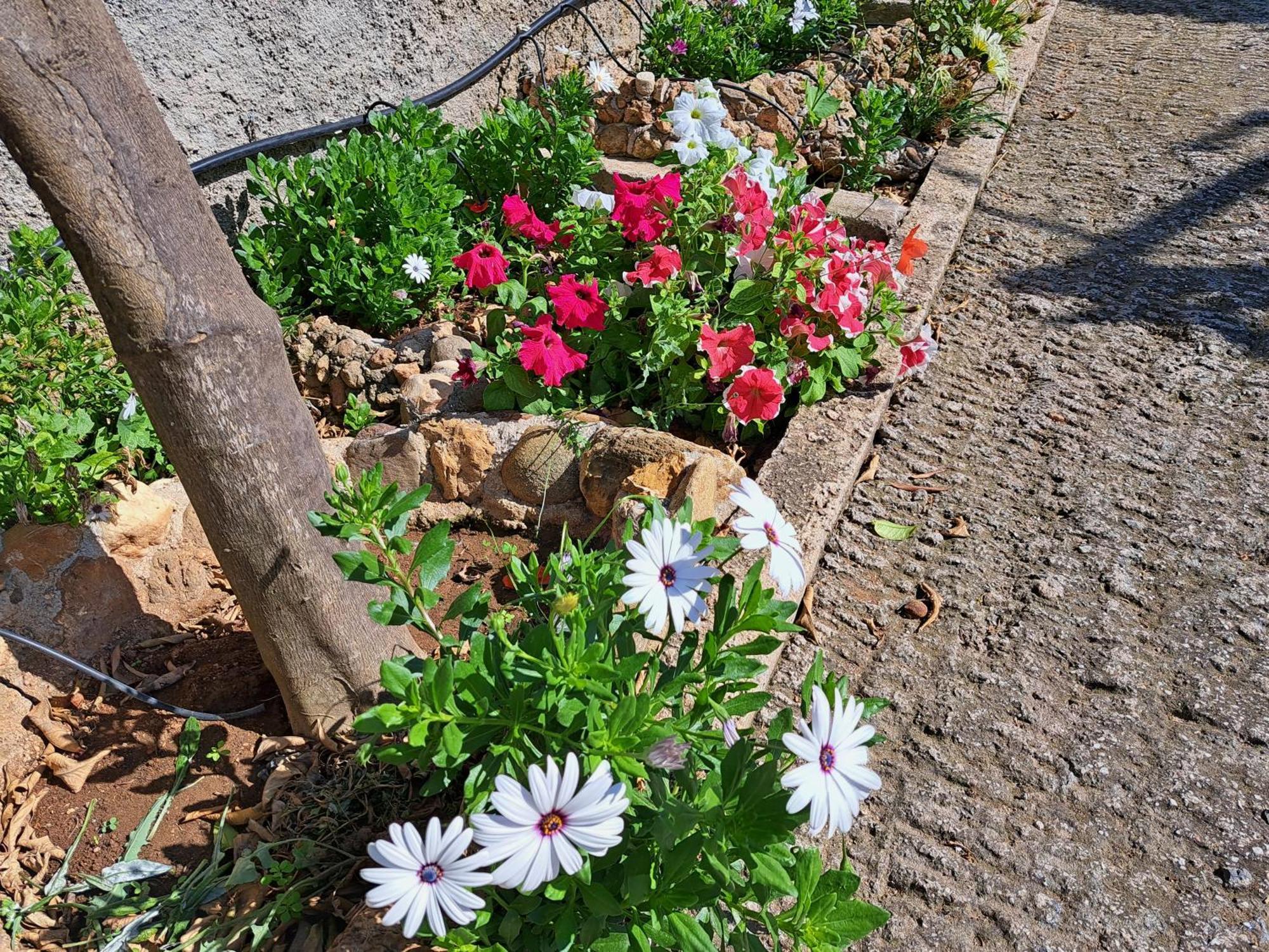 Garden House-Free Transfer From Airport Villa Artemida  Bagian luar foto