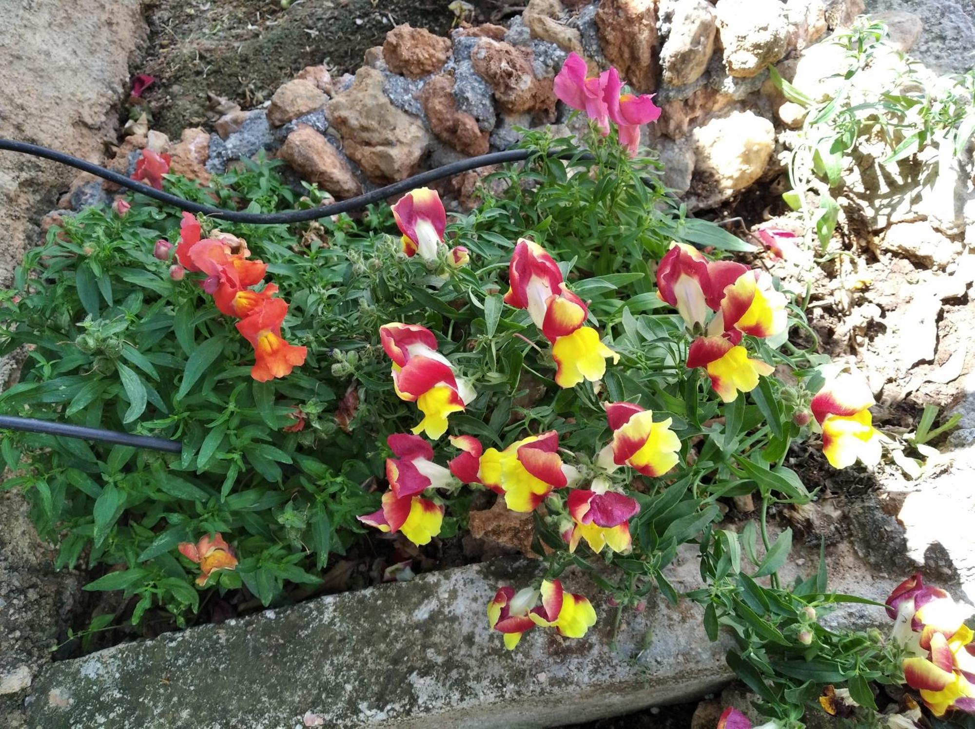 Garden House-Free Transfer From Airport Villa Artemida  Bagian luar foto