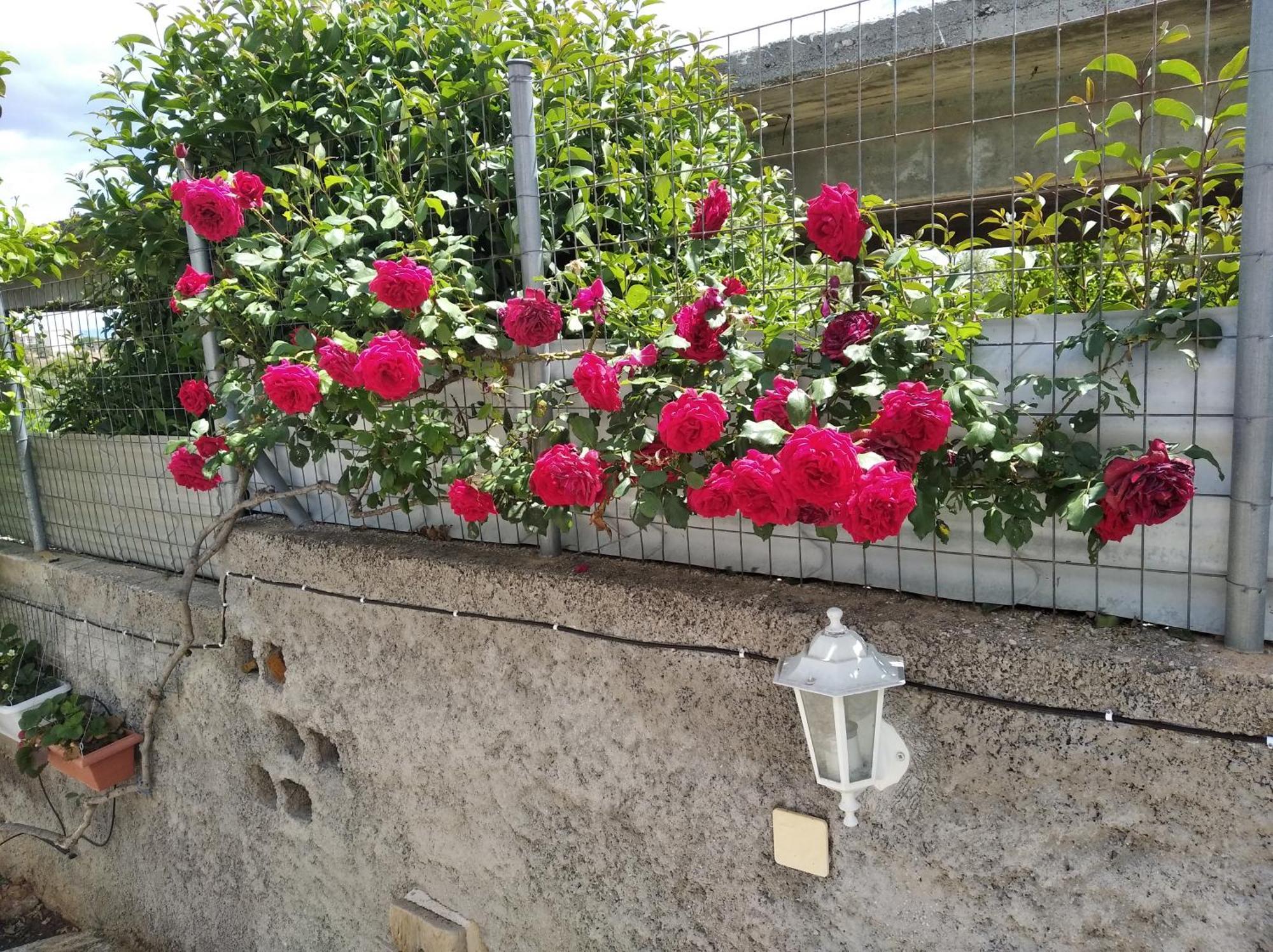 Garden House-Free Transfer From Airport Villa Artemida  Bagian luar foto